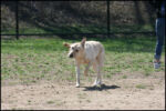 IMG_7980.jpg