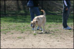 IMG_7979.jpg