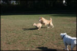 IMG_2620.jpg