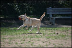 IMG_7926.jpg