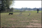 IMG_2817.jpg