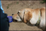 IMG_4458.jpg