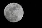Moon3-20-08.jpg