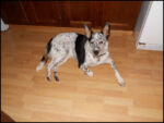 DSCN2509.jpg