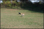 IMG_2702.jpg