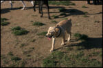 IMG_2832.jpg