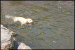 IMG_5147.jpg