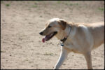 IMG_7951.jpg