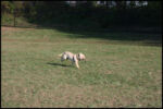 IMG_2697.jpg