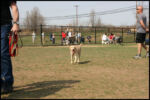 IMG_3856.jpg