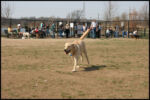IMG_3840.jpg