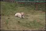 IMG_7257.jpg