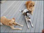DSCN2497.jpg