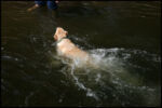 IMG_4765.jpg