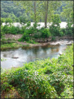 2012-08-05_09-45-39_253.jpg