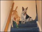 DSCN2446.jpg