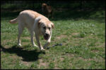 IMG_4433.jpg