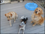 DSCN2493.jpg