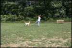 IMG_4564.jpg