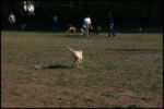 IMG_2785.jpg
