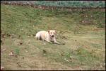 IMG_7256.jpg