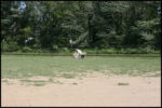 IMG_4539.jpg