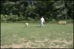 IMG_4565.jpg