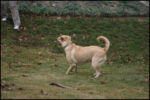 IMG_7284.jpg