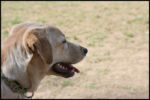 IMG_3783.jpg