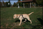 IMG_2566.jpg