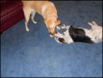 DSCN2457.jpg