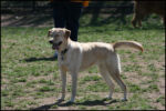 IMG_7994.jpg
