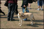 IMG_3863.jpg