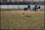 IMG_2959.jpg