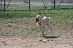 IMG_7986.jpg