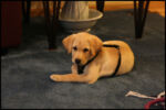 IMG_1578.jpg