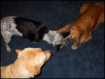 DSCN2537.jpg