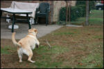 IMG_7296.jpg