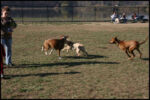 IMG_2797.jpg