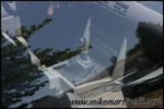 IMG_2441.jpg