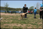 IMG_4396.jpg