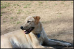 IMG_3755.jpg