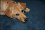 X-Mas 2009
