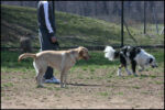 IMG_7976.jpg