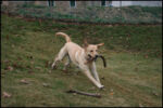 IMG_7279.jpg