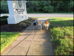 DSCN2469.jpg