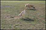 IMG_2976.jpg