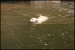 IMG_5126.jpg