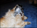 DSCN2541.jpg