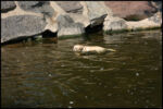 IMG_4892.jpg